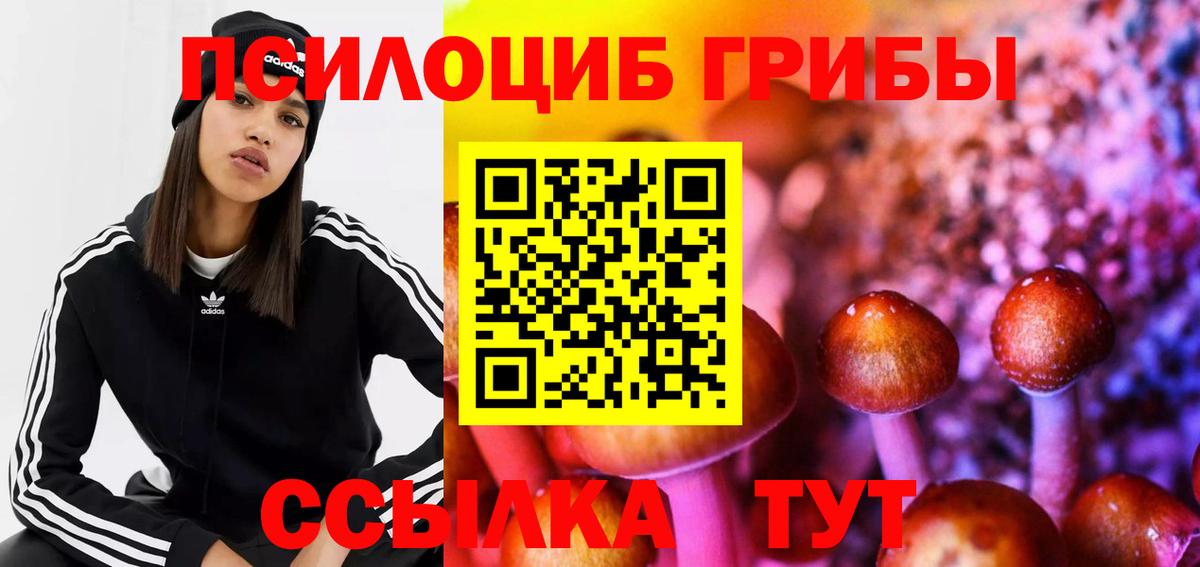 Галлюциногенные грибы MAGIC MUSHROOMS  Вход с VPN  наркошоп  Шали 